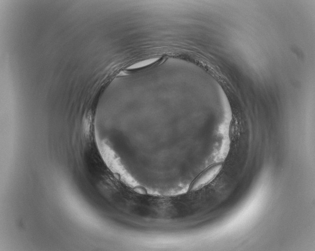 X0000115740143200912101323