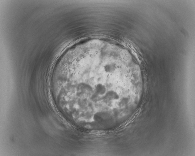 X0000115740145200912101322