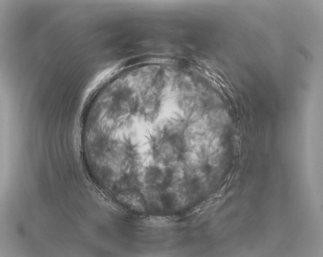 X0000115740149200912101322