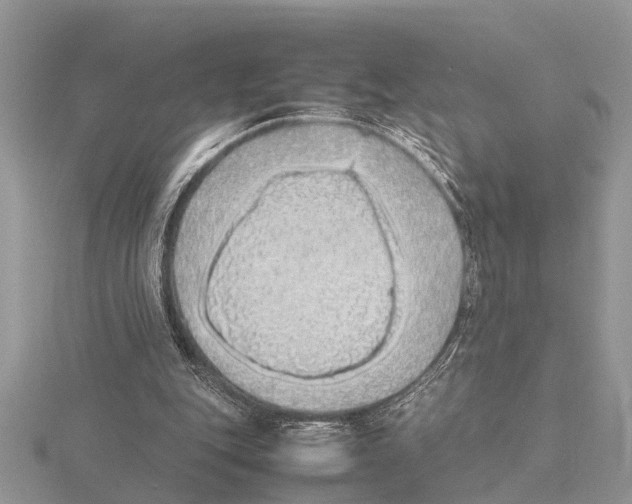 X0000115740151200912101322