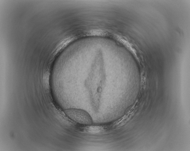 X0000115740154200912101322