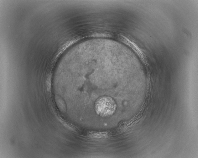 X0000115740155200912101322