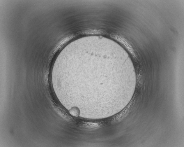 X0000115740159200912101322