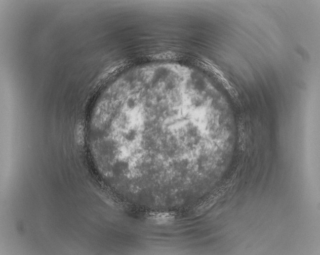 X0000115740161200912101322