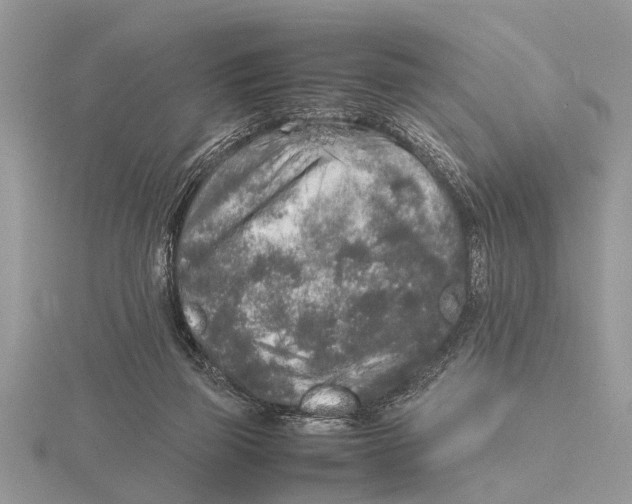 X0000115740165200912101322