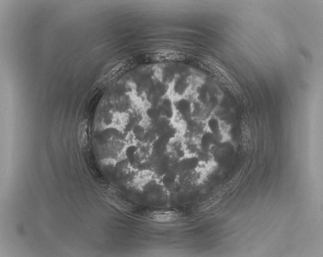 X0000115740169200912101322