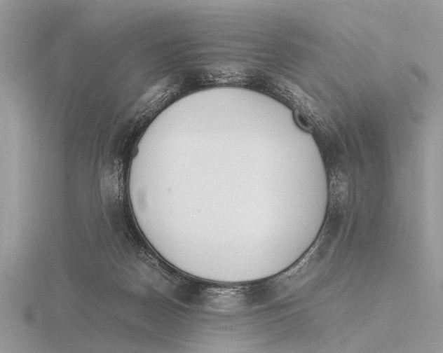 X0000115740170200912101322