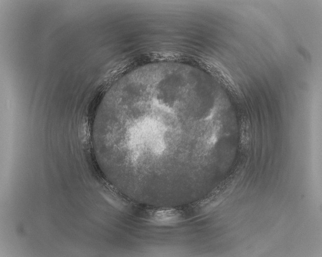 X0000115740173200912101322