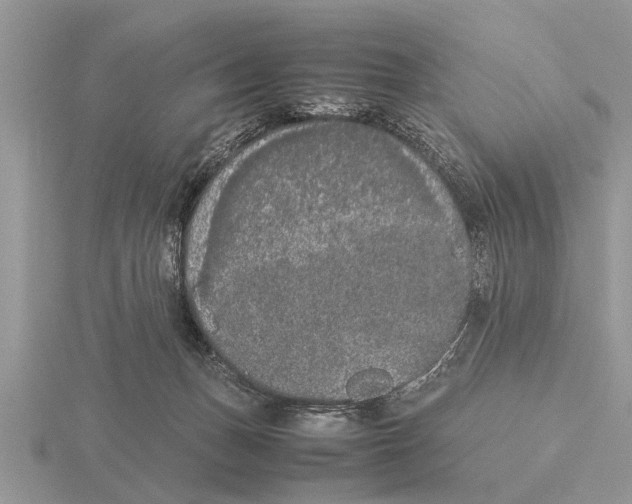 X0000115740175200912101322