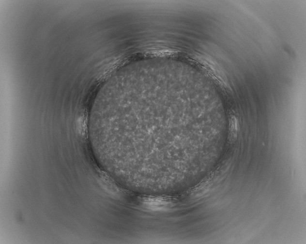 X0000115740177200912101322