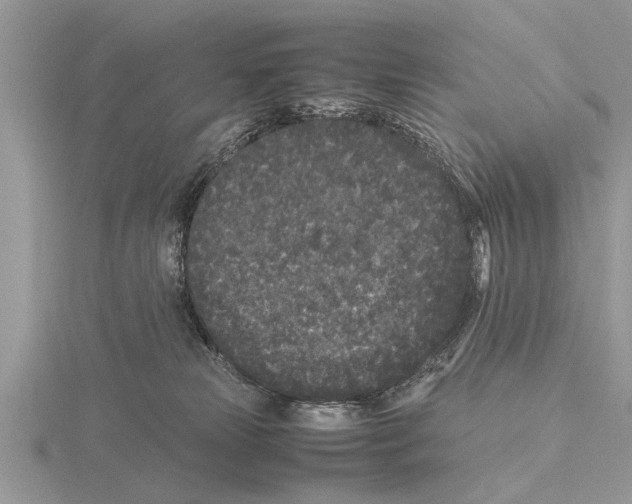 X0000115740181200912101322