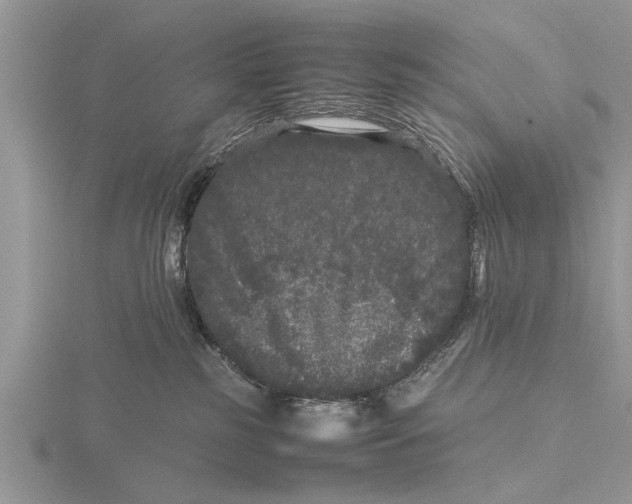 X0000115740185200912101323