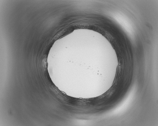 X0000115740190200912101323