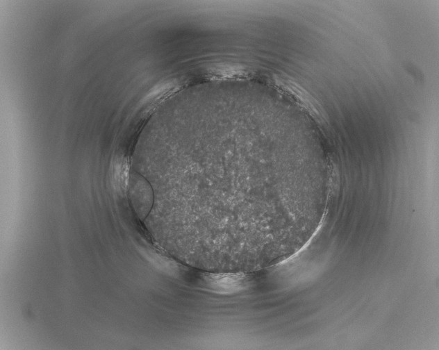 X0000115740191200912101323