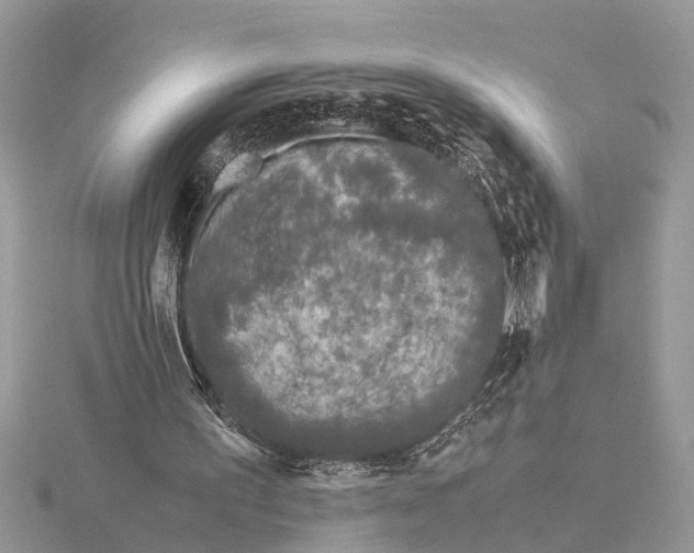 X0000115740195200912101322