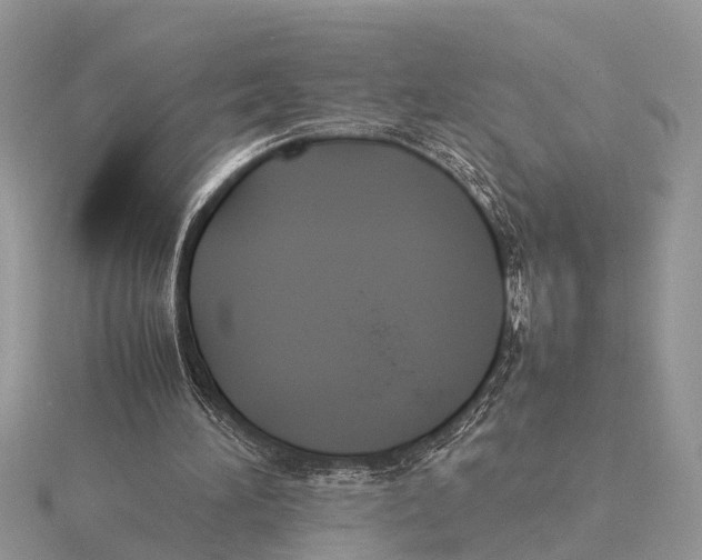 X0000115740196200912101322