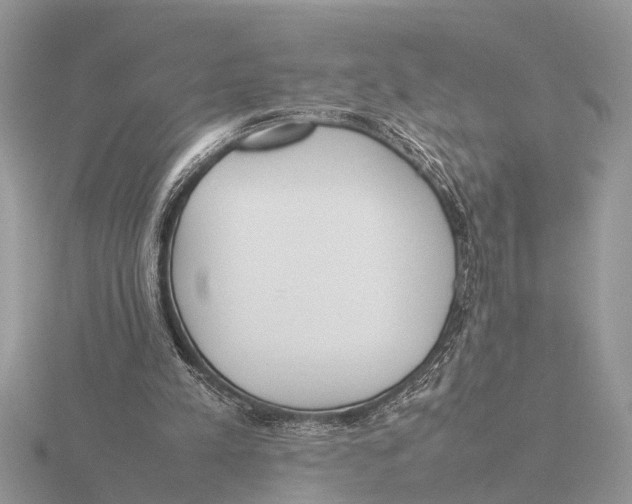 X0000115740197200912101322