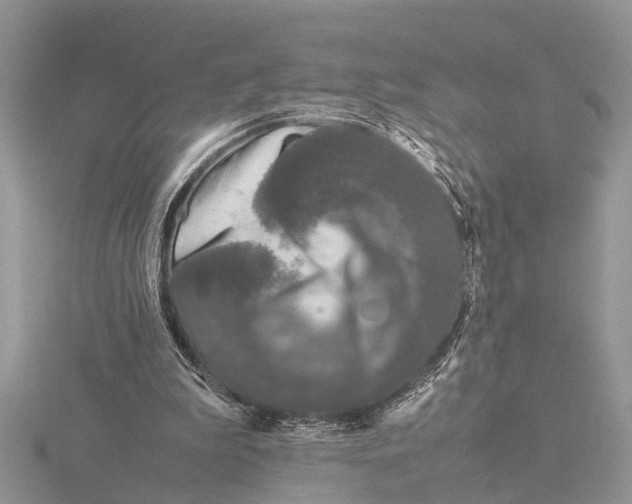 X0000115740199200912101322