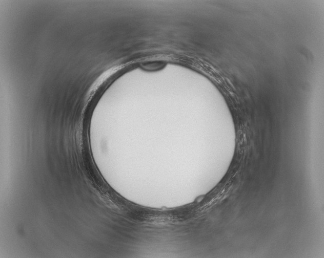 X0000115740200200912101322