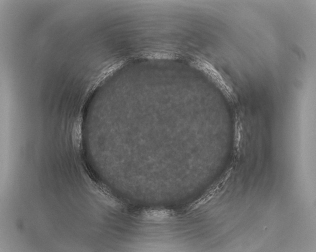 X0000115740202200912101322