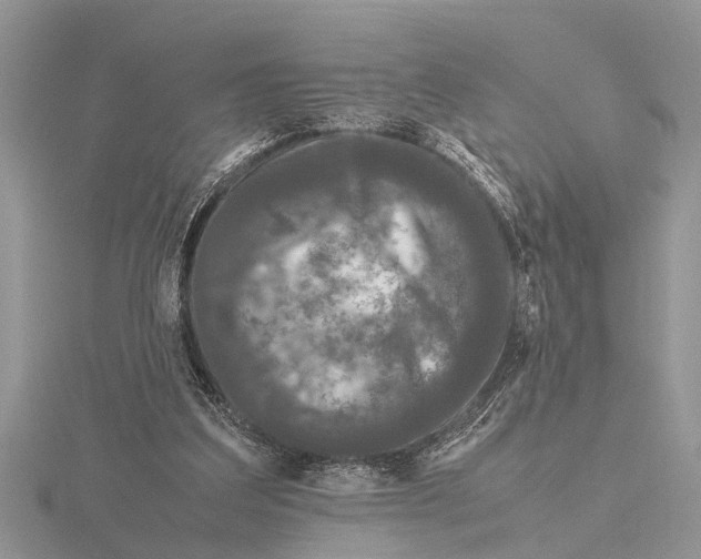 X0000115740203200912101322