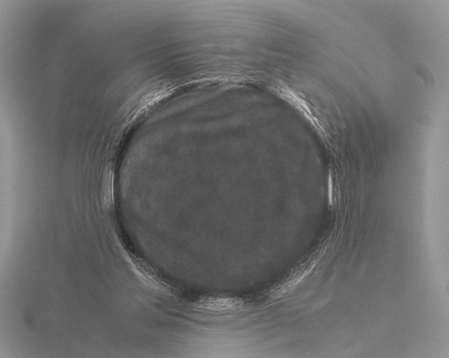 X0000115740205200912101322