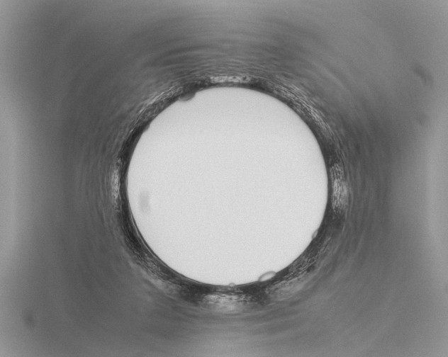 X0000115740211200912101322