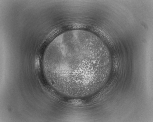 X0000115740214200912101322