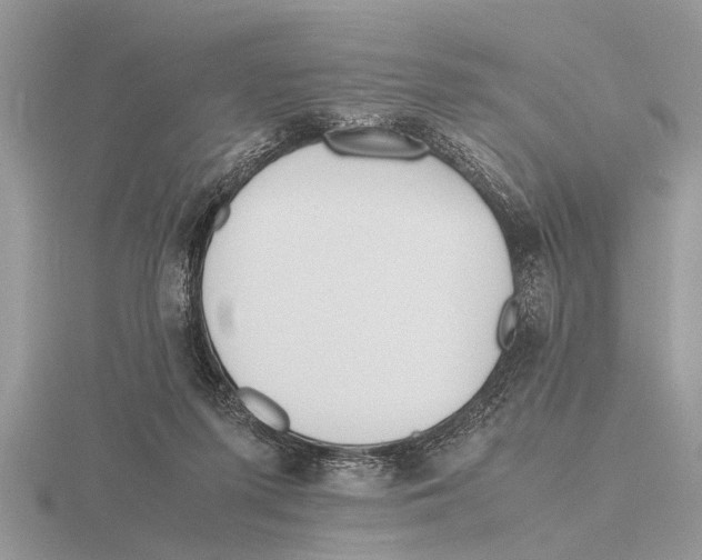 X0000115740215200912101322