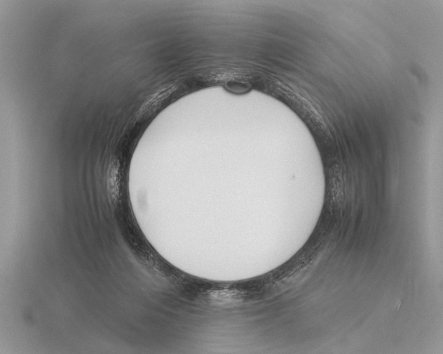 X0000115740216200912101322