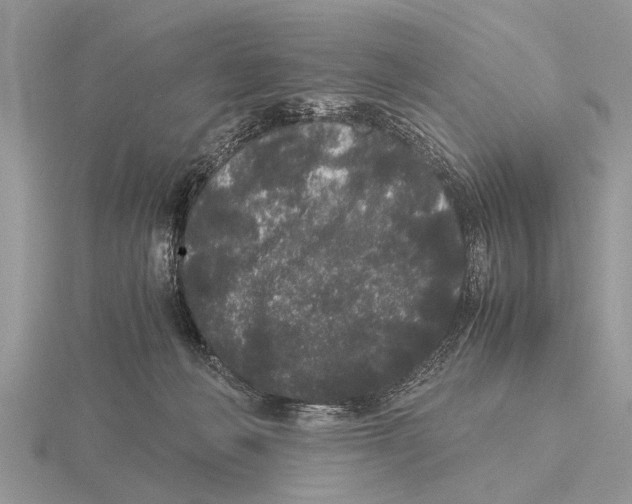 X0000115740222200912101322