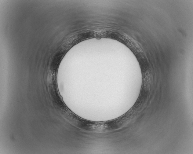 X0000115740225200912101321