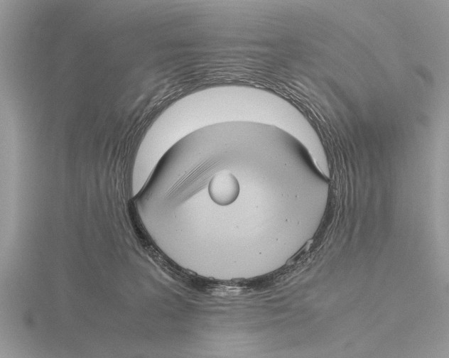 X0000115740227200912101321