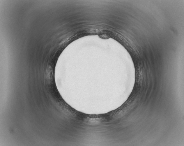 X0000115740228200912101321