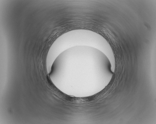 X0000115740229200912101321