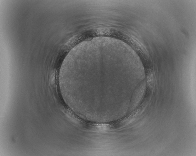 X0000115740233200912101321