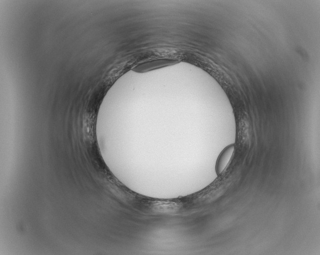 X0000115740234200912101321