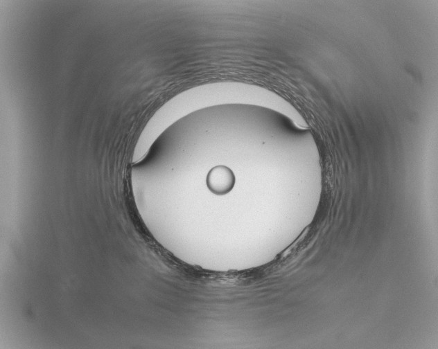 X0000115740235200912101321