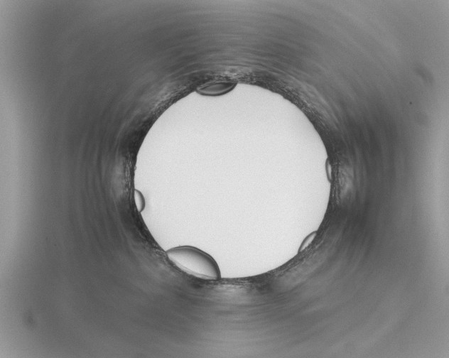 X0000115740236200912101321