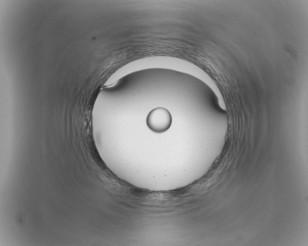 X0000115740237200912101321