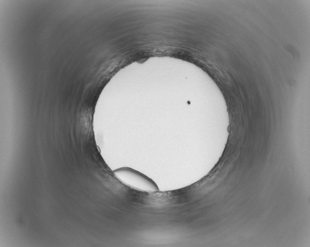 X0000115740240200912101321