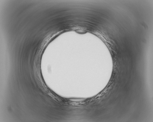 X0000115740241200912101321