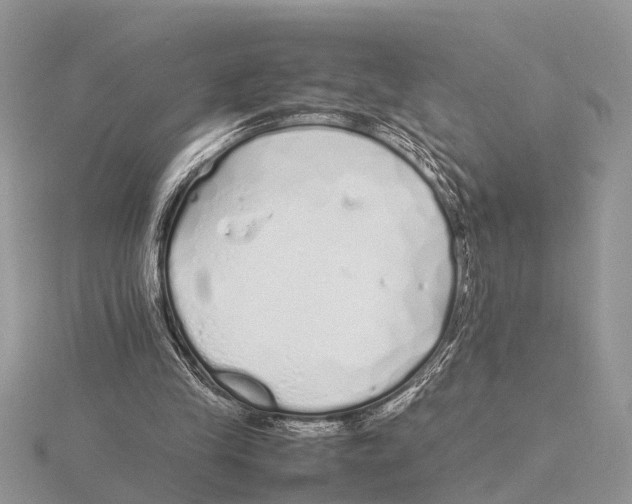 X0000115740245200912101321