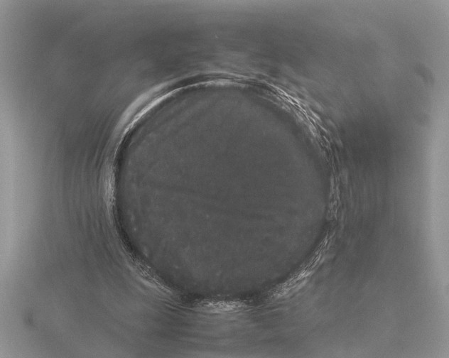 X0000115740247200912101321