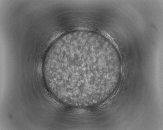 X0000115740249200912101321