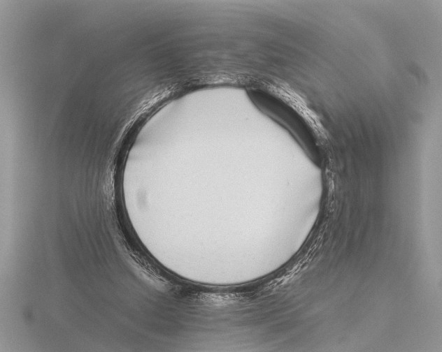 X0000115740250200912101321