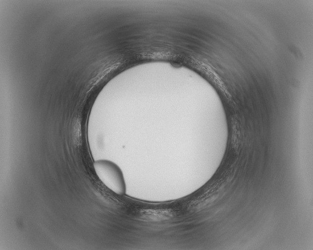 X0000115740251200912101321