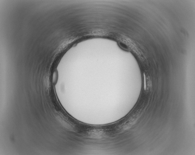 X0000115740252200912101321