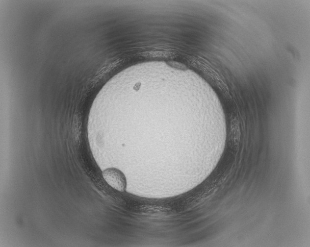 X0000115740255200912101321