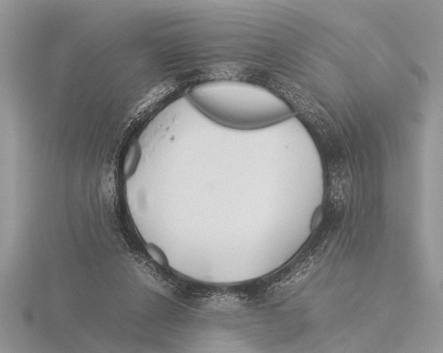 X0000115740256200912101321